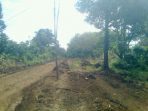 Foto4701-lahan