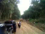 alat-berat-pemkab-mura-saat-meratanakan-jalan-provinsi-di-kecamatan-nibung.