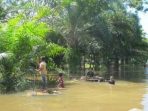 salah-satu-kondisi-bencana-banjir-yang-terjadi-di-kabupaten-Mura.