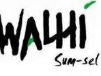 wpid-Direktur_Walhi_Sumsel