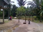 wpid-IMG-20140818-05869