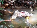 wpid-IMG_20131223_164157kbr_