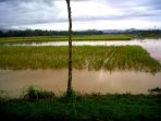 wpid-IMG_20140121_220401