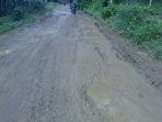 wpid-Jalan-Menuju-Ke-Desa-Taja-Raya-II