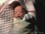 wpid-ikak-die-bayi-cowok-1kbr_.jpg