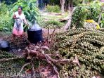 wpid-img-20140630-05237-1kbr_
