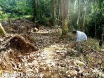 wpid-img_11514180735633-1kbr_