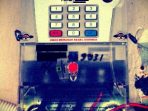 wpid-img_1899c-1