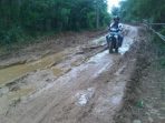 wpid-jalan-warga-seperti-kubangan-kerbau.jpg