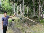 wpid-kabal-terjuntai-di-samping-rumah-dprd-nurdin-m-zen-mengunakan-kayu-yang-muda-lapuk-1kbr_.jpg wpid-kabal-terjuntai-di-samping-rumah-dprd-nurdin-m-zen-mengunakan-kayu-yang-muda-lapuk-1kbr_.jpg