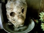 wpid-karang-jaya-20141030-00464_1_1_wm.jpg