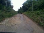 wpid-kondisi-jalan-pronvinsi-didesa-sukakarya-hingga-bts-ulu-yang-mengalami-kerusakan.