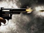 wpid-main2-pistol5