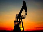 wpid-oil2_vzbe_z3a8-21