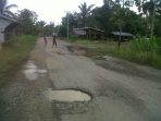 wpid-salah-satu-titik-jalan-yang-rusak-dan-berlubang-didesa-Lubes-dan-Muara-Lawai.jpg