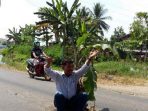 wpid-wp-1436273765087
